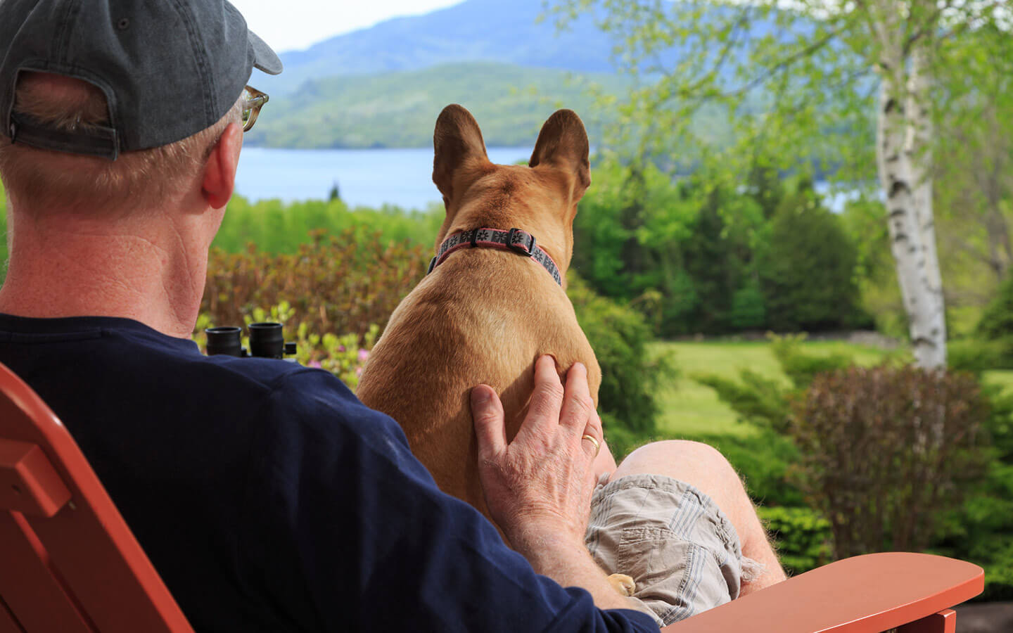 inn-by-the-sea-a-pet-friendly-luxury-oceanfront-resort-outside-of