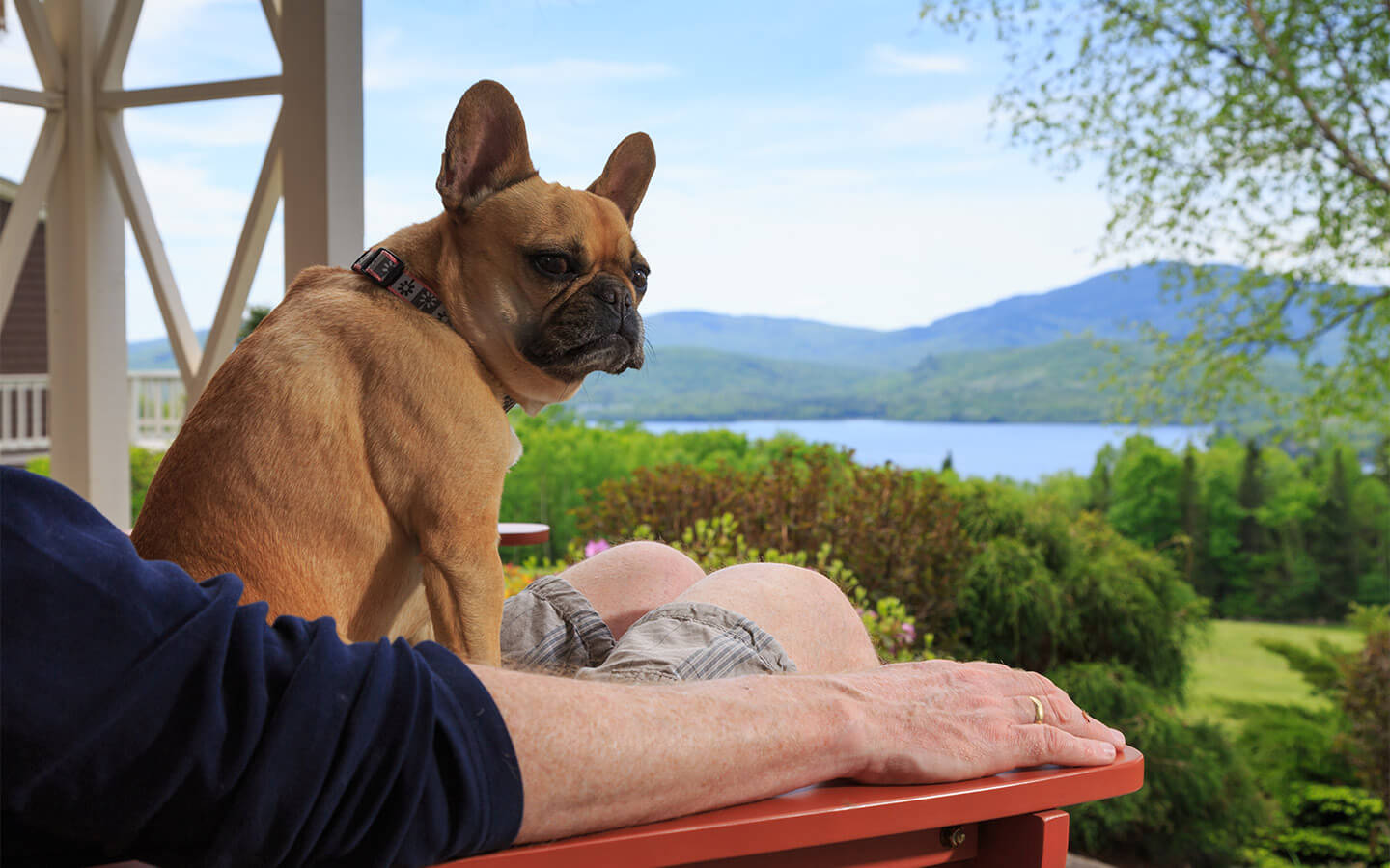 Maine Pet Friendly Lodging Moosehead Lake Inn