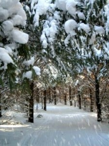 Winter Getaway in Maine