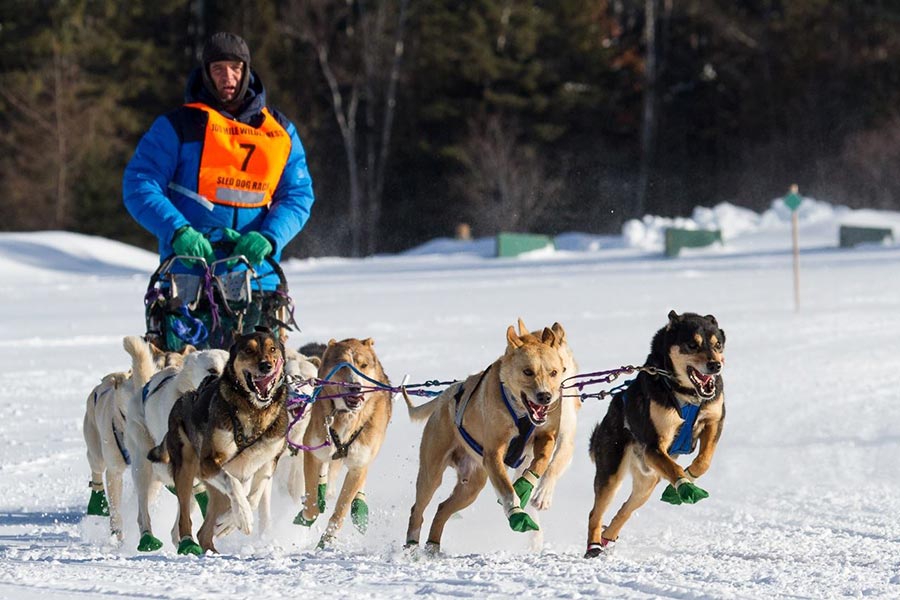 Moosehead Lake Wilderness Sled Dog Race 2023