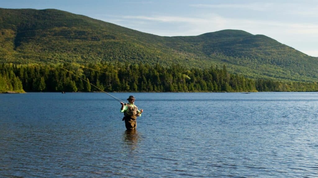 A man flyfishing on a summer day at Moosehead Lake