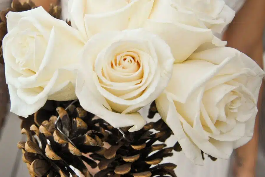 An up-close of a bouquet of white roses and pinecones for a rustic Maine elopement