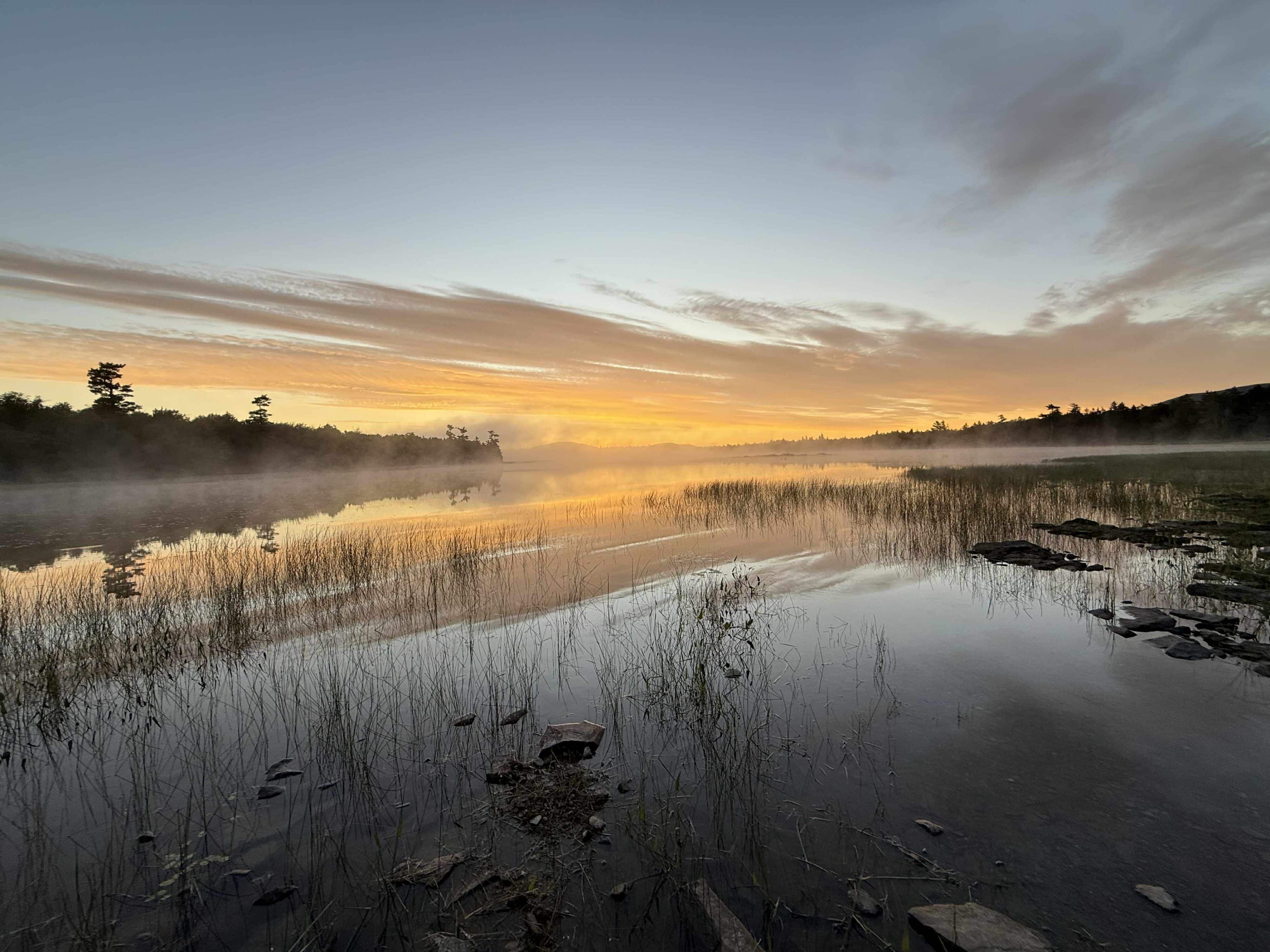 Sunrise over misty lake with grasses and reflections.