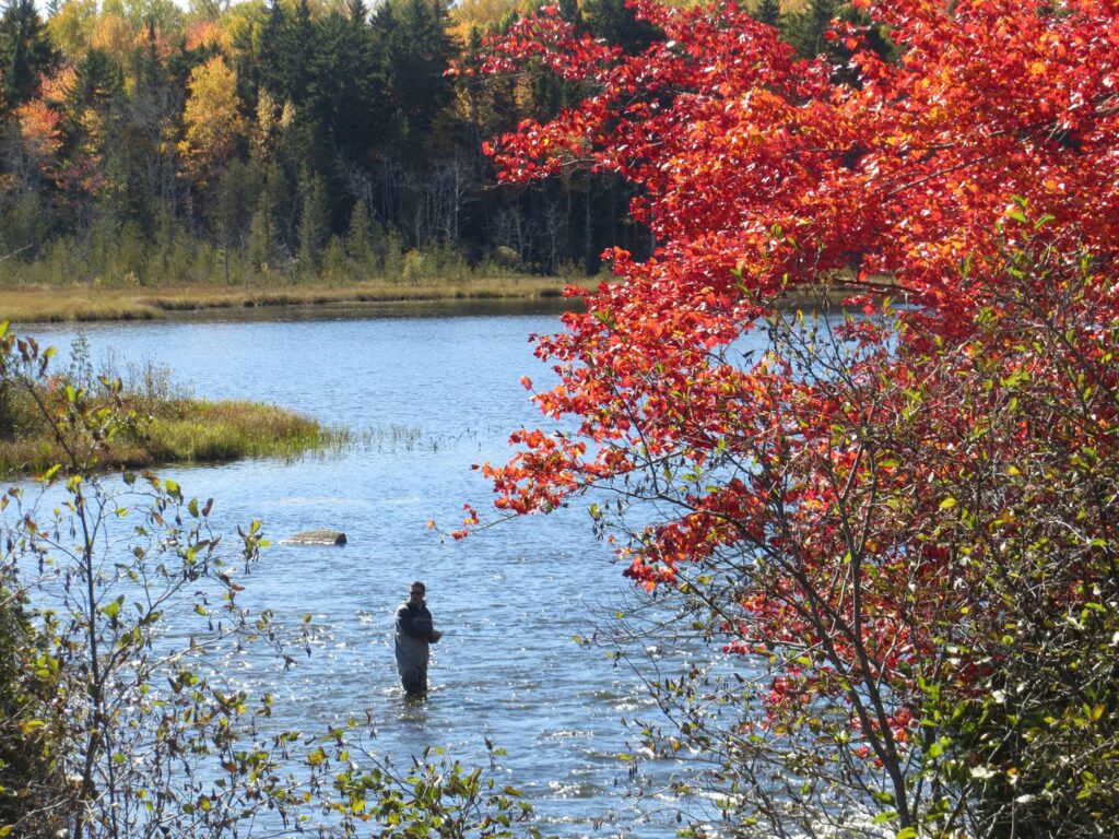 Angler fishing on Moosehead Lake surrounded by vibrant fall foliage in Greenville Maine